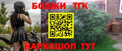 шишки Новокубанск