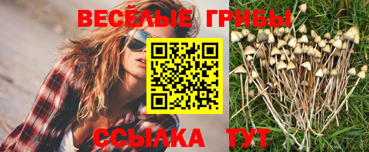 Канабис  Вход с VPN  Сызрань  Гашиш  Меф   NBOMe 